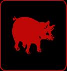 Symbole Cochon