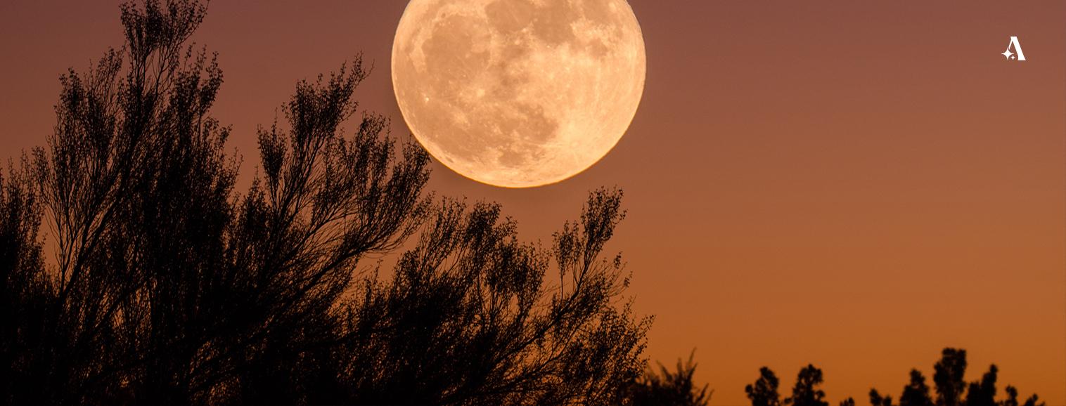 Effet pleine lune et signes astrologiques